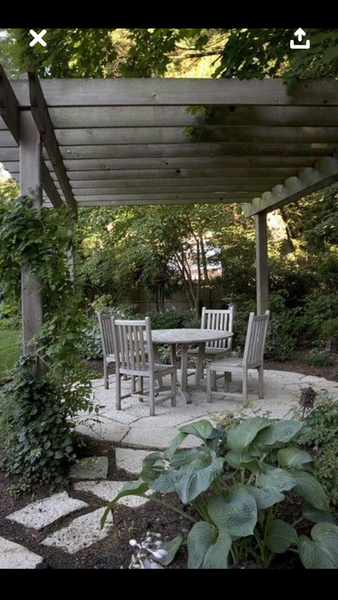 CLASSIC DINING SIDE CHAIR