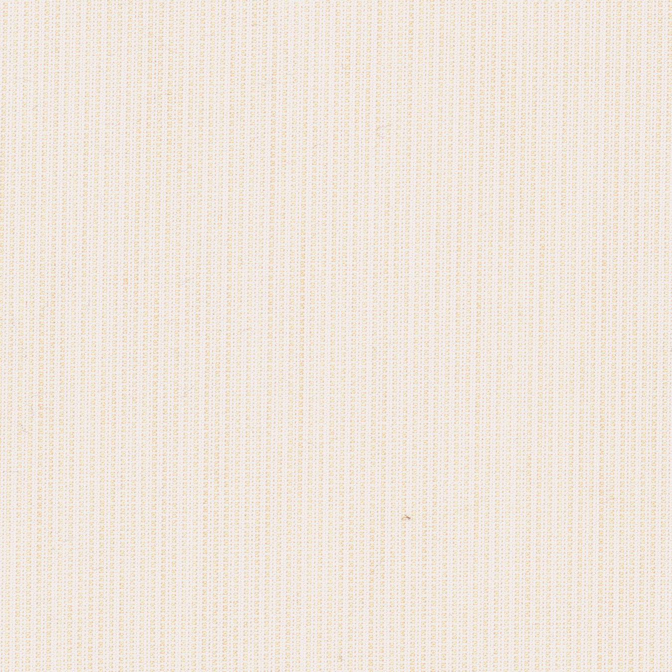 SPECTRUM EGGSHELL