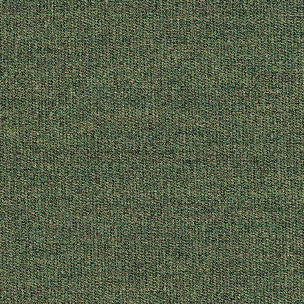 FERN