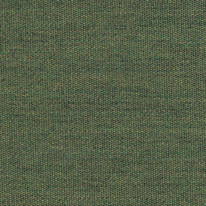FERN