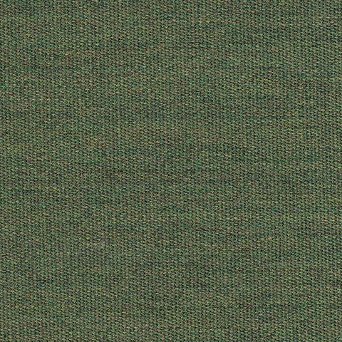 FERN