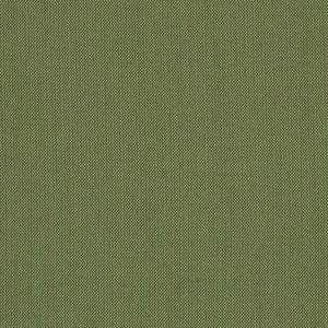 SPECTRUM CILANTRO