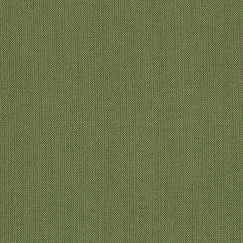SPECTRUM CILANTRO