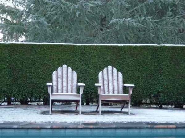 ADIRONDACK CHAIR
