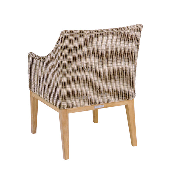 FRANCES Dining Arm Chair